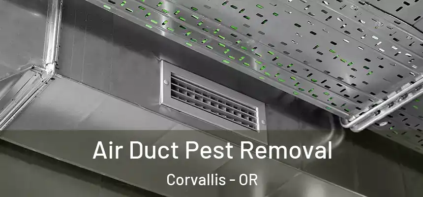  Air Duct Pest Removal Corvallis - OR
