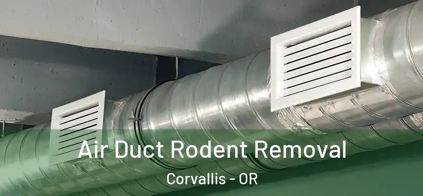  Air Duct Rodent Removal Corvallis - OR