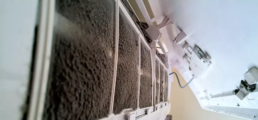 Preventive Air Duct Bacteria Removal in Corvallis