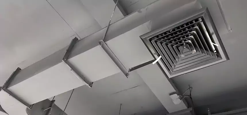 Restorative Allergy Relief Vent Cleaning – Coil, Blower & Housing Detail in Corvallis