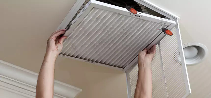 Our Insect Removal from Air Ducts Services in Corvallis, OR