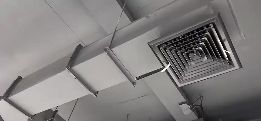 Our Pest Removal From Ducts Services in Corvallis, OR