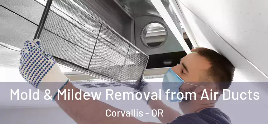 Mold & Mildew Removal from Air Ducts Corvallis - OR
