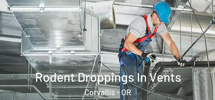  Rodent Droppings In Vents Corvallis - OR