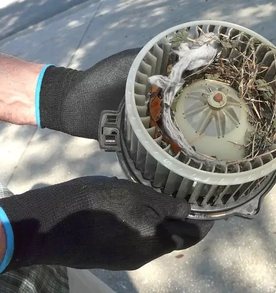 About Air Duct Rat Removal in Corvallis, OR